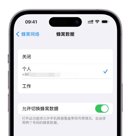 潍坊苹果维修服务分享如何在iPhone上使用双卡 